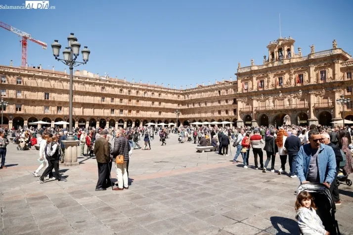 Foto 4 - FOTOS | La primavera se apodera de la Plaza Mayor de Salamanca