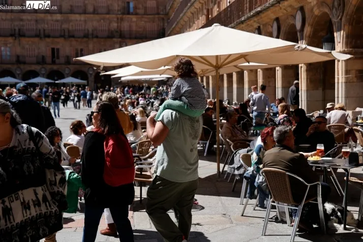 Foto 14 - FOTOS | La primavera se apodera de la Plaza Mayor de Salamanca