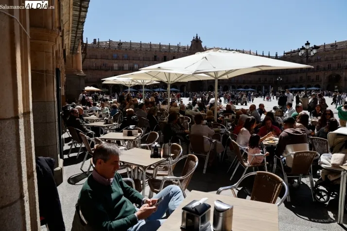 Foto 13 - FOTOS | La primavera se apodera de la Plaza Mayor de Salamanca