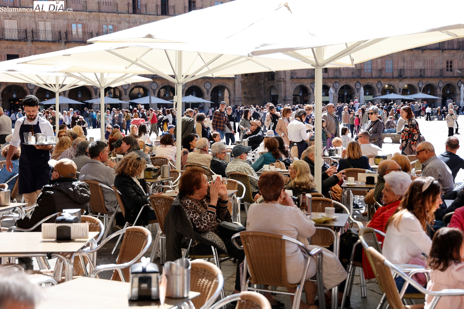 FOTOS | La primavera se apodera de la Plaza Mayor de Salamanca