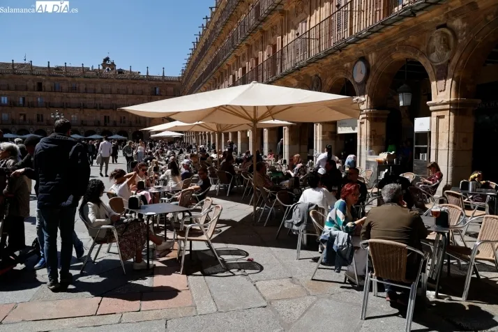 Foto 12 - FOTOS | La primavera se apodera de la Plaza Mayor de Salamanca