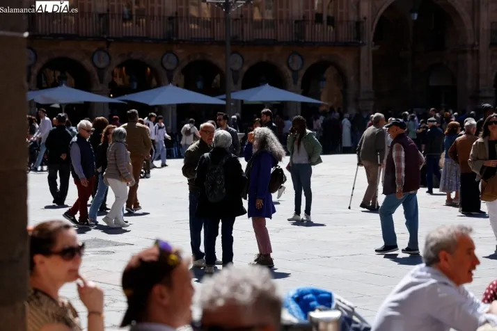 Foto 10 - FOTOS | La primavera se apodera de la Plaza Mayor de Salamanca