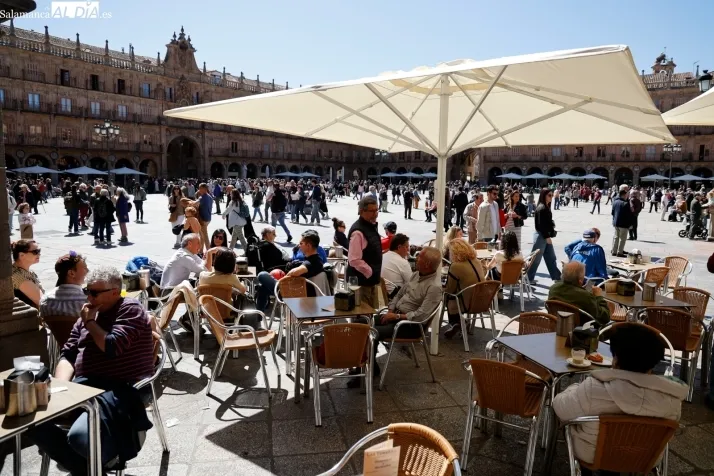 Foto 9 - FOTOS | La primavera se apodera de la Plaza Mayor de Salamanca