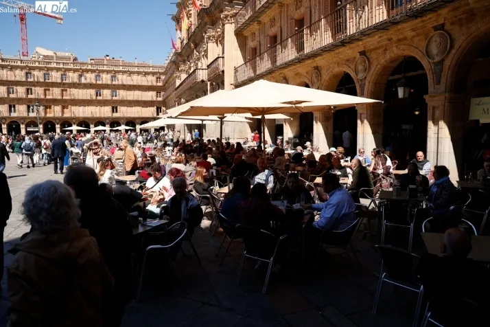 Foto 8 - FOTOS | La primavera se apodera de la Plaza Mayor de Salamanca