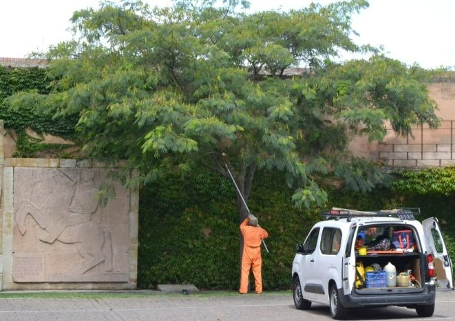 PLANIEL 2025 Castilla y León: 11.305€ por contrato para colectivos vulnerables