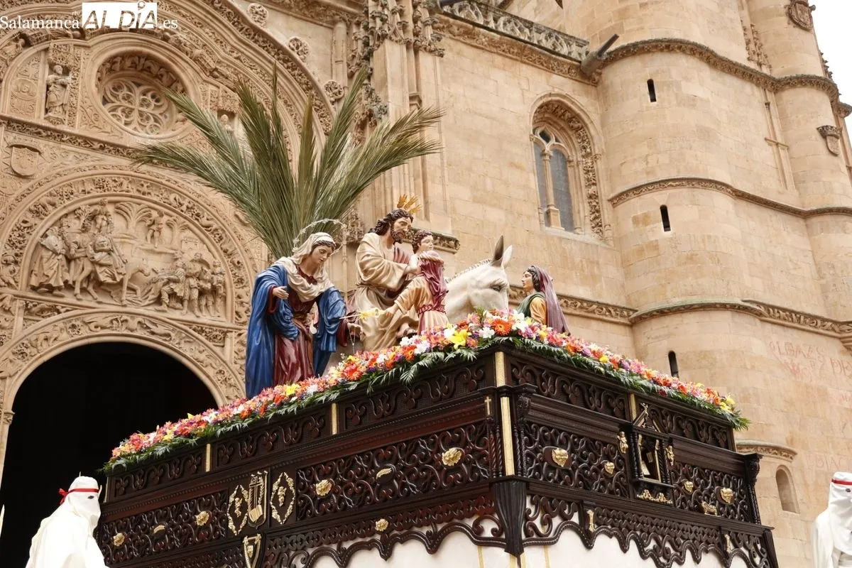 Procesión de La Borriquilla en Salamanca. Fotos: David Sañudo
