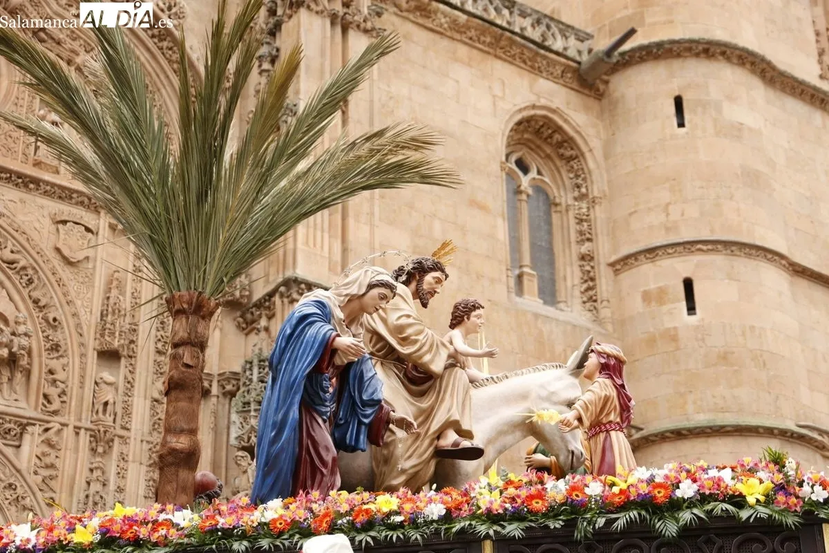 Procesión de La Borriquilla en Salamanca. Fotos: David Sañudo