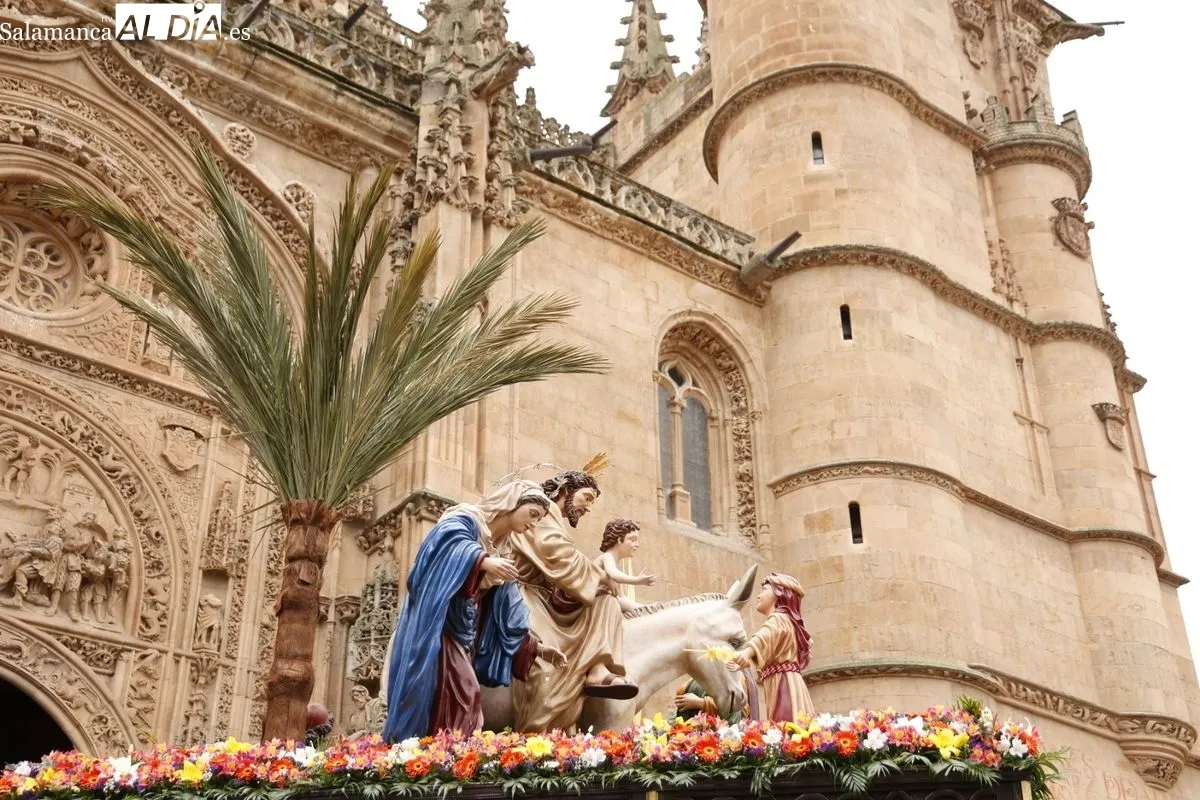 Procesión de La Borriquilla en Salamanca. Fotos: David Sañudo