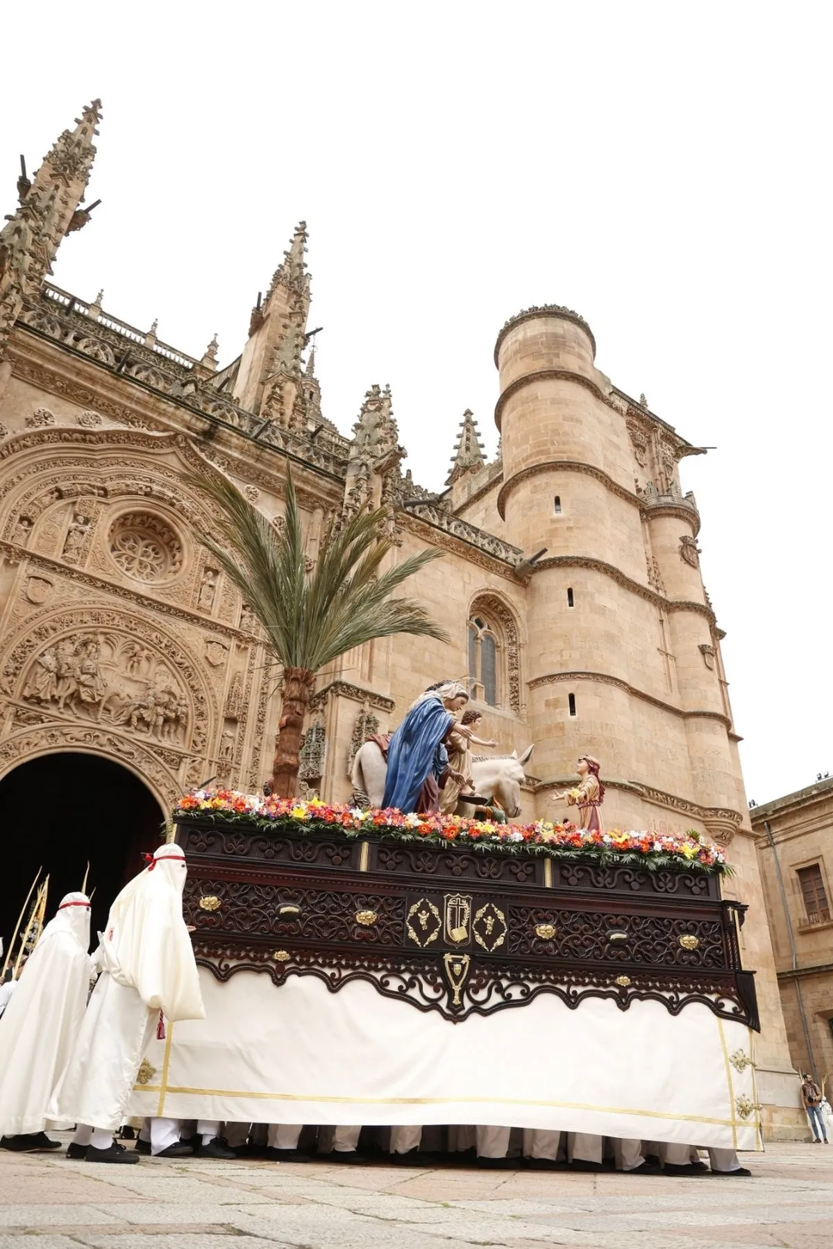 Procesión de La Borriquilla en Salamanca. Fotos: David Sañudo