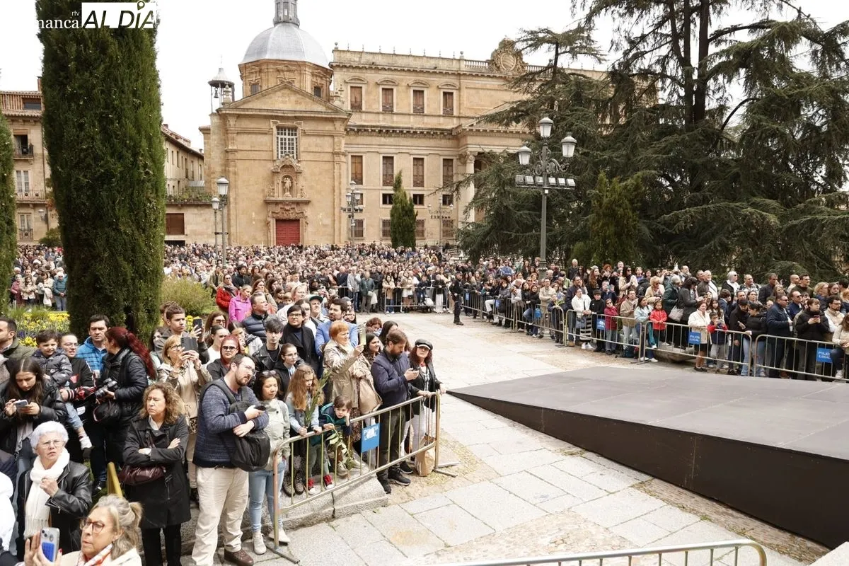 Procesión de La Borriquilla en Salamanca. Fotos: David Sañudo