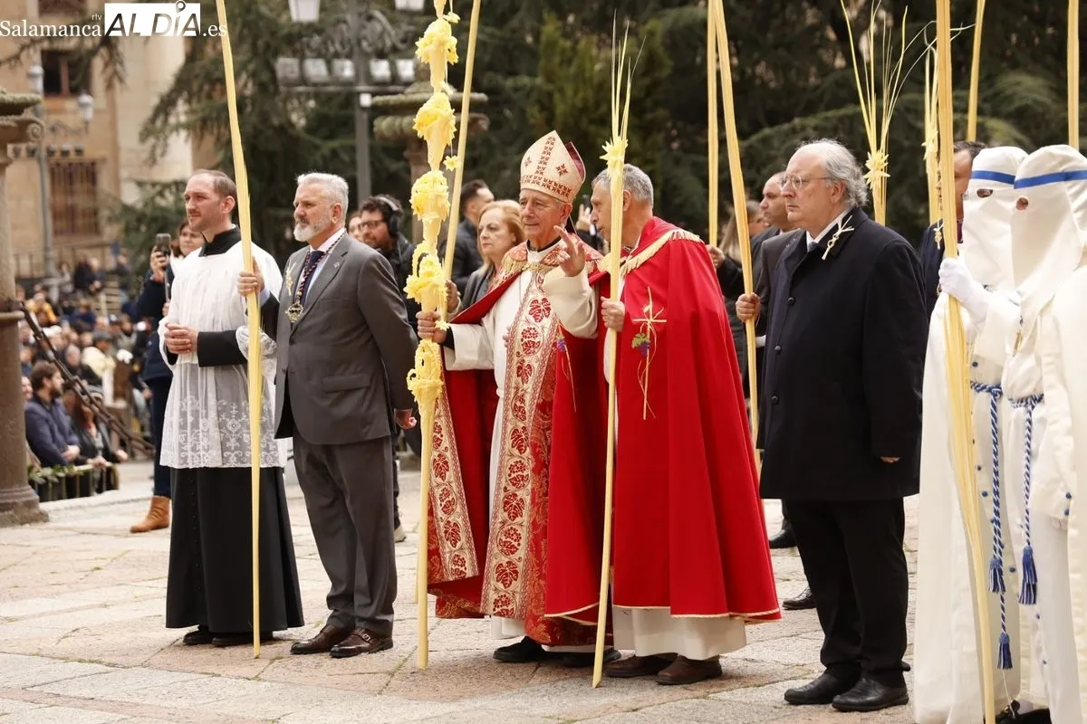 Procesión de La Borriquilla en Salamanca. Fotos: David Sañudo