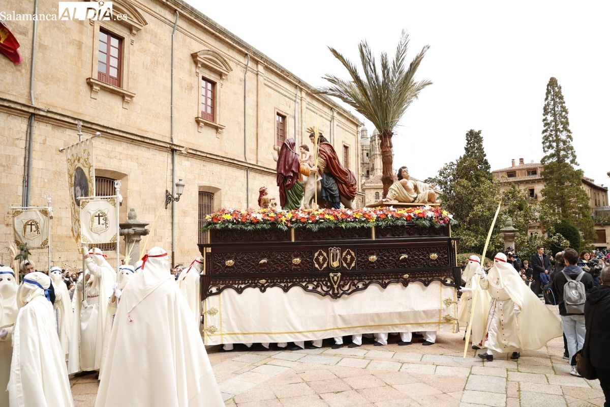 Procesión de La Borriquilla en Salamanca
