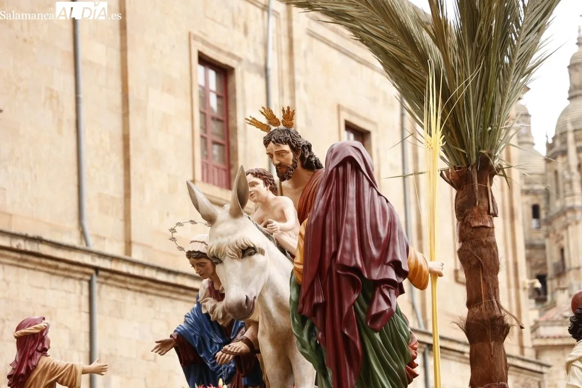 Procesión de La Borriquilla en Salamanca. Fotos: David Sañudo