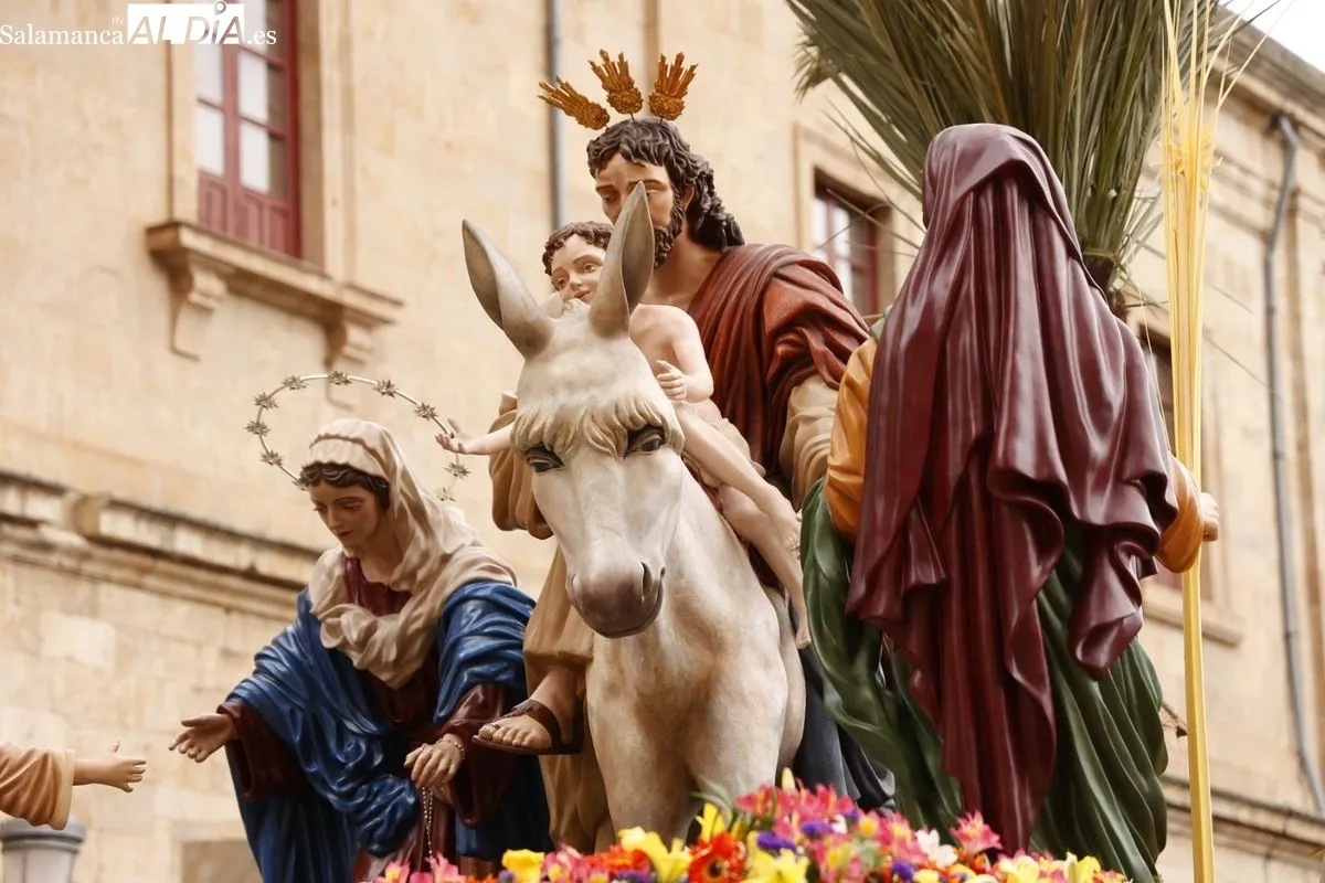 Procesión de La Borriquilla en Salamanca. Fotos: David Sañudo