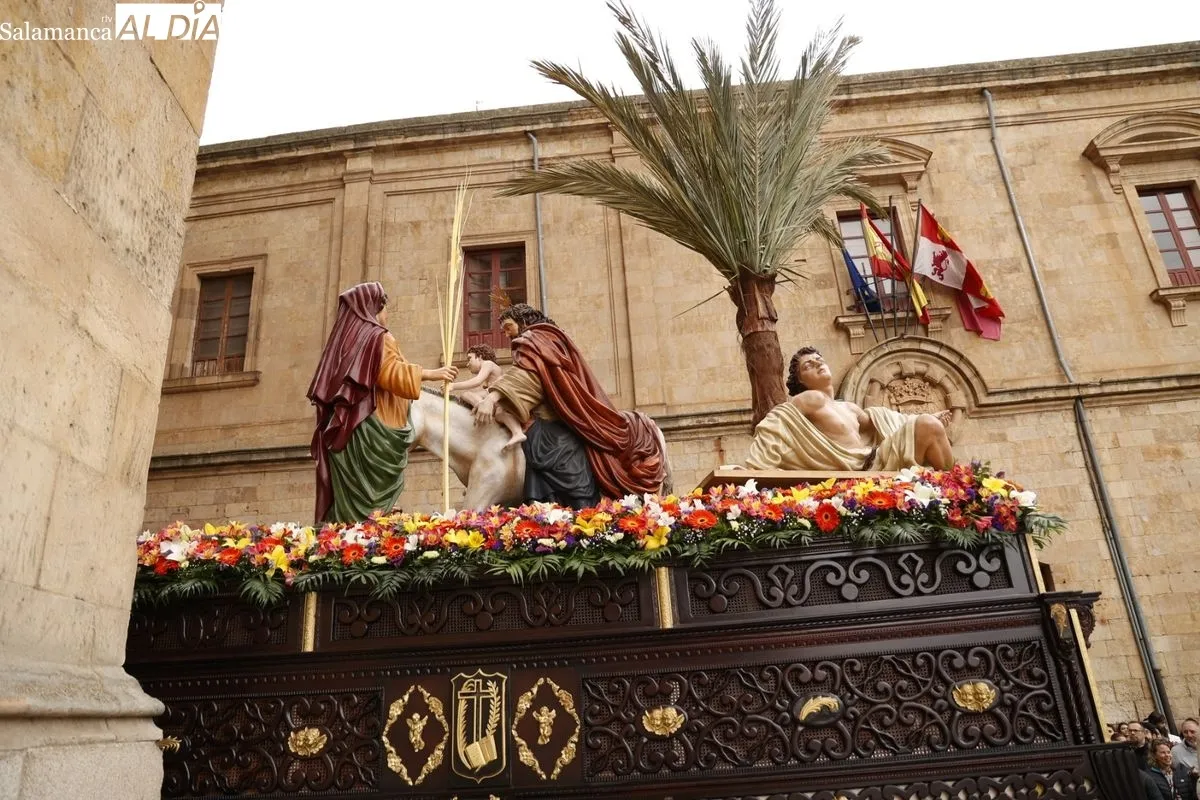 Procesión de La Borriquilla en Salamanca. Fotos: David Sañudo