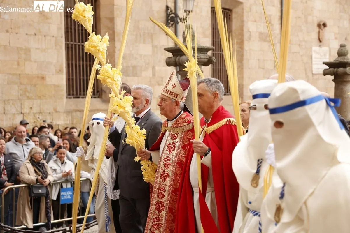 Procesión de La Borriquilla en Salamanca. Fotos: David Sañudo