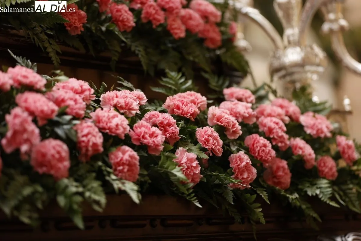 Procesión de la Hermandad de Nuestro Padre Jesús del Perdón. Fotos: David Sañudo