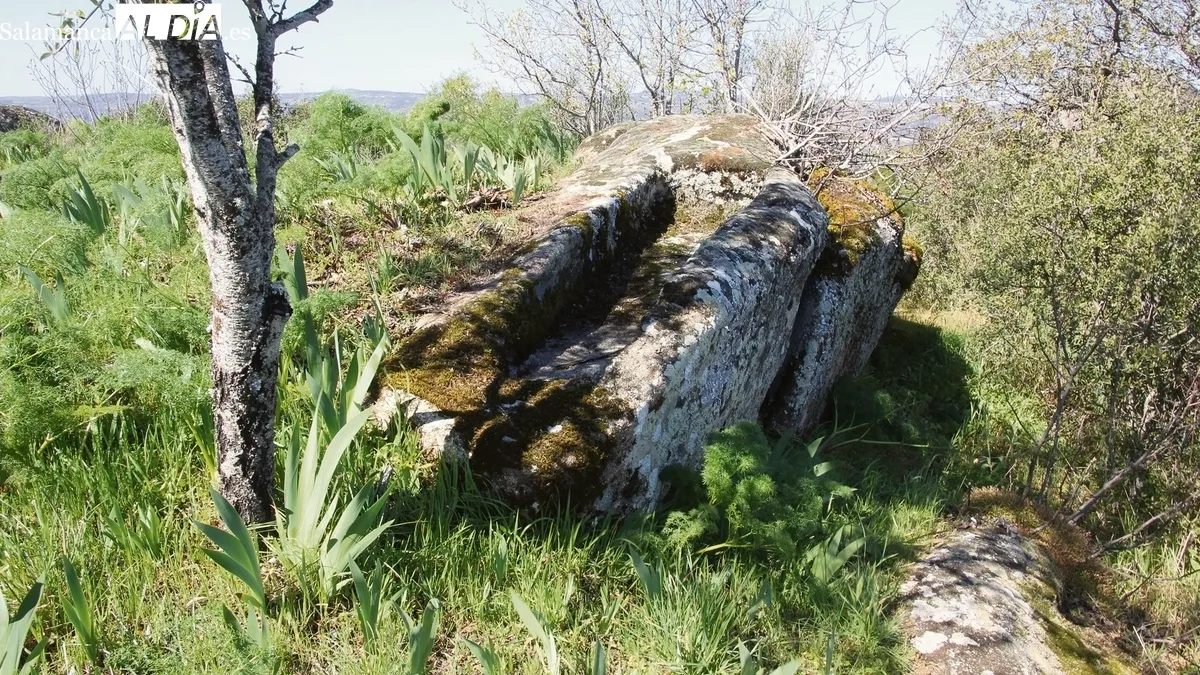 Tumba antropomorfa de época Medieval en el Teso de San Cristóbal / CORRAL