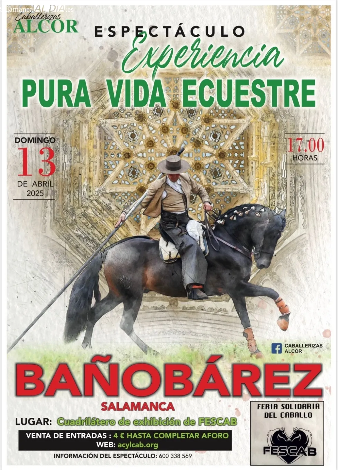 Foto 3 - La IV Feria Solidaria del Caballo de Ba&ntilde;ob&aacute;rez, a beneficio de la Asociaci&oacute;n de Alzheimer