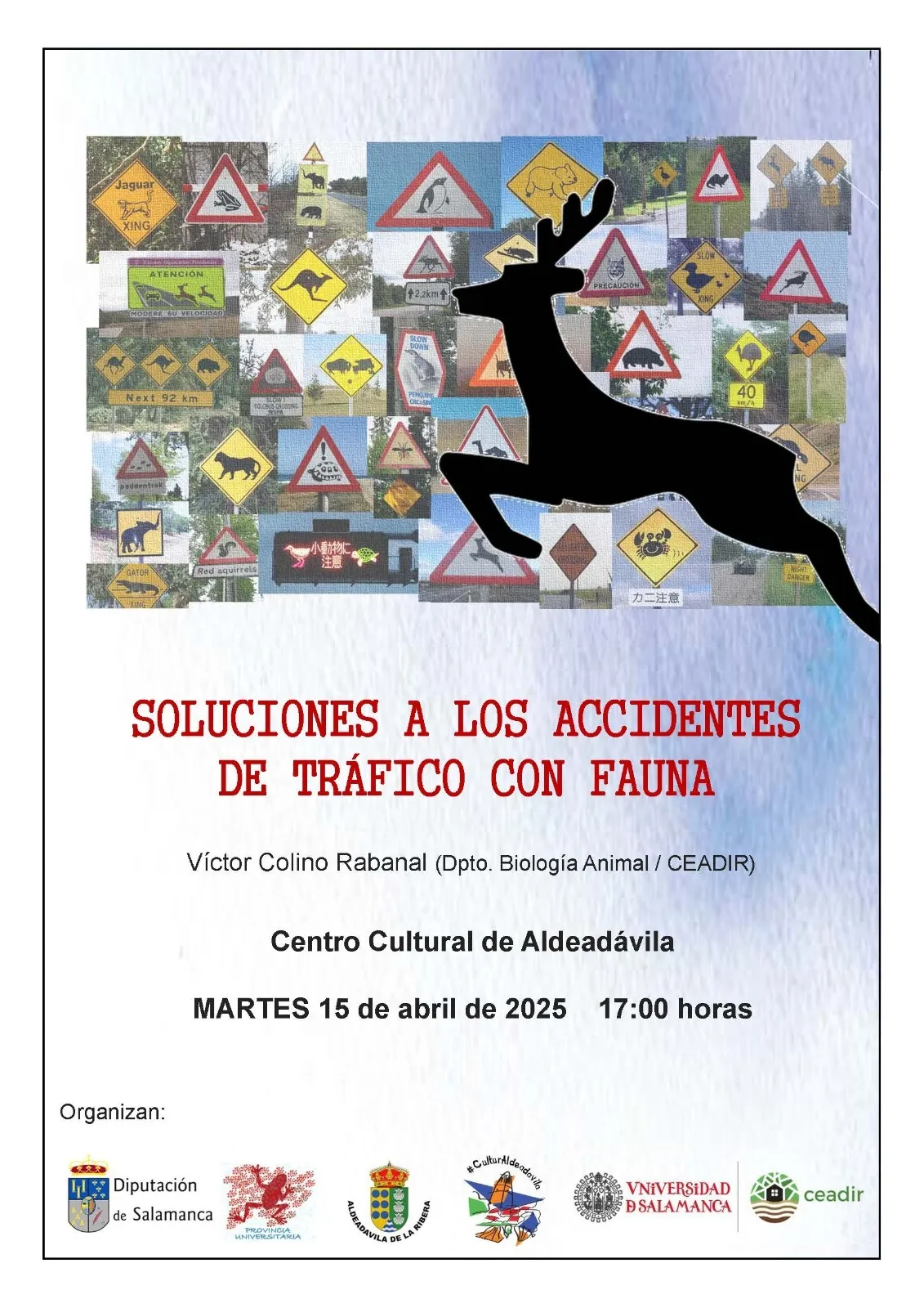 Foto 2 - V&iacute;ctor Colino hablar&aacute; en Aldead&aacute;vila sobre los accidentes de tr&aacute;fico con fauna