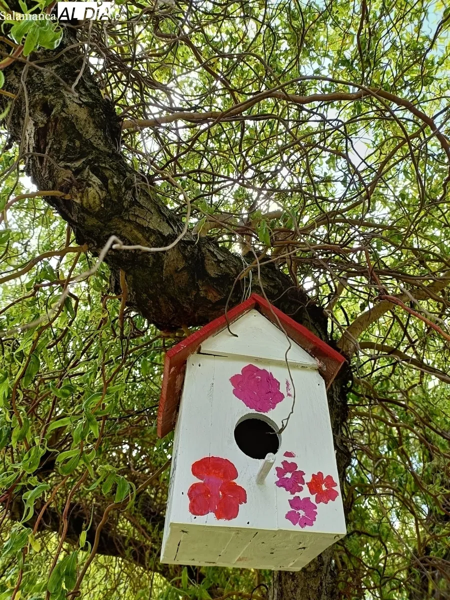 Inauguración de la decoración de primavera hecha por los usuarios de Asprodes en el Parque San Nicolás