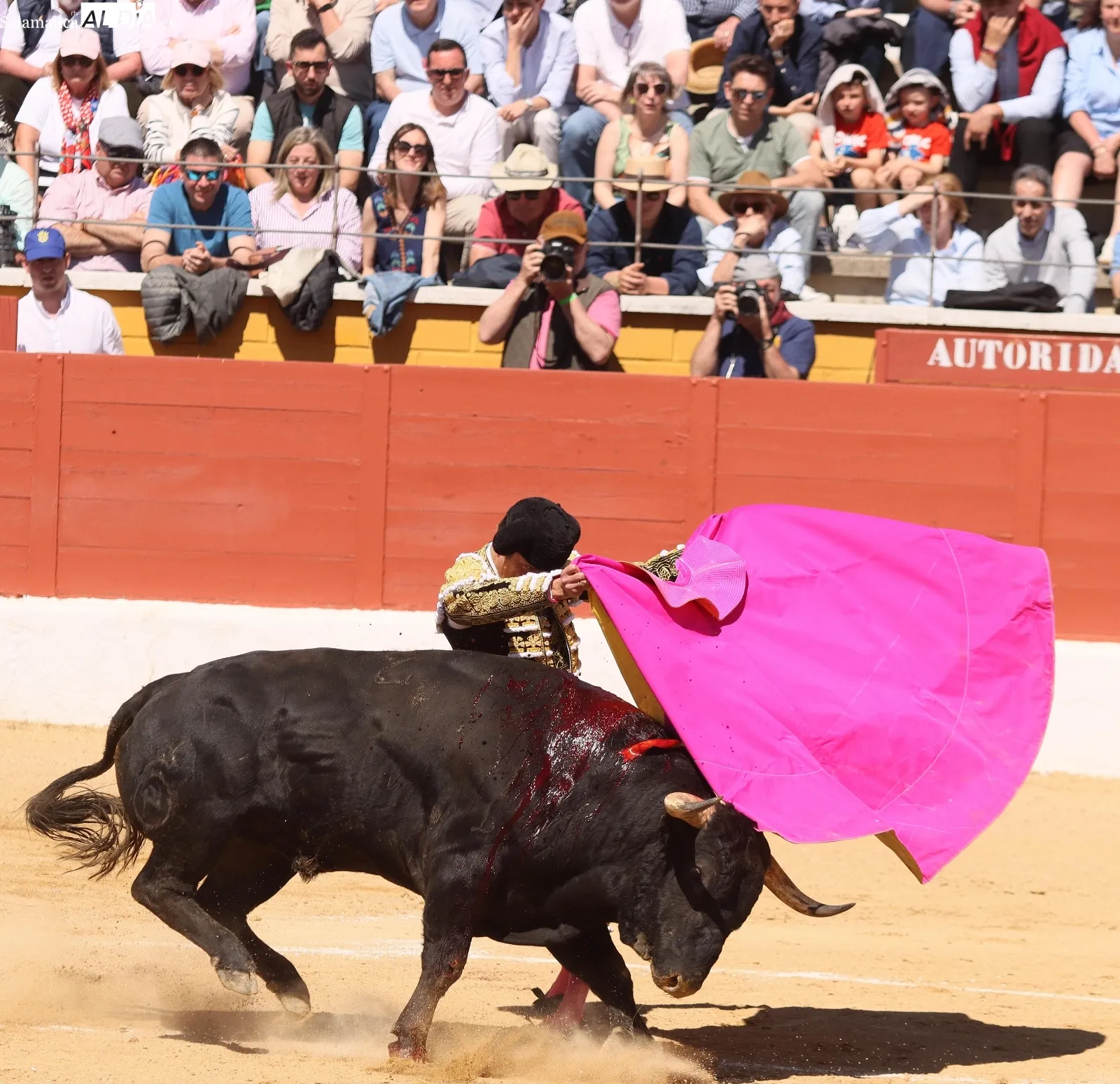 Damián Castaño, un gladiador sin espada | FOTOS: Manuel Martín