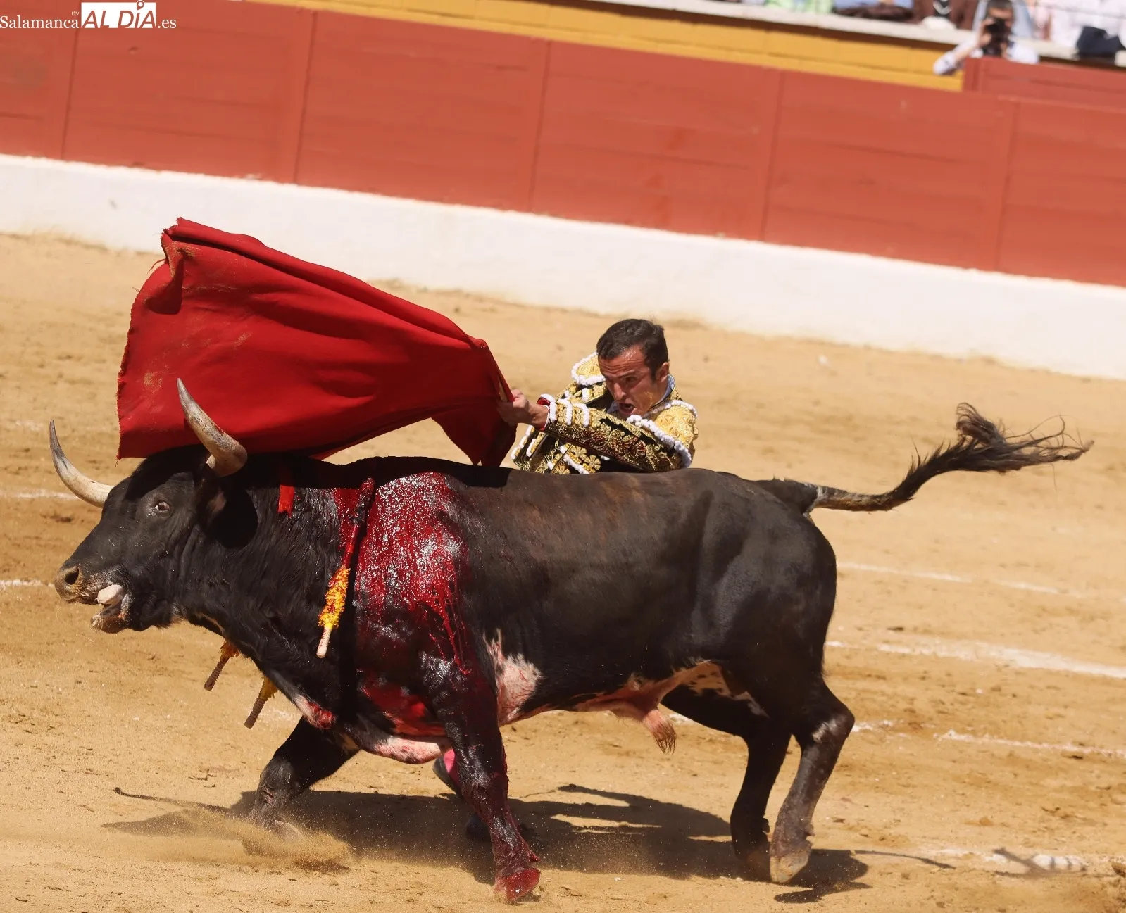 Damián Castaño, un gladiador sin espada | FOTOS: Manuel Martín