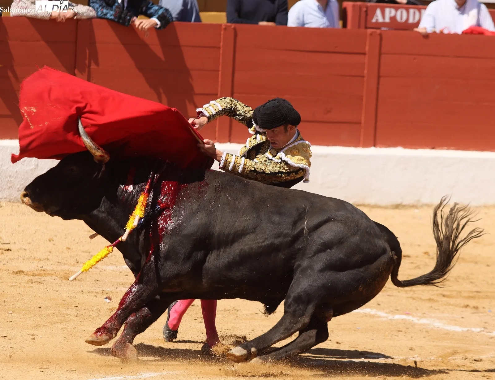 Damián Castaño, un gladiador sin espada | FOTOS: Manuel Martín
