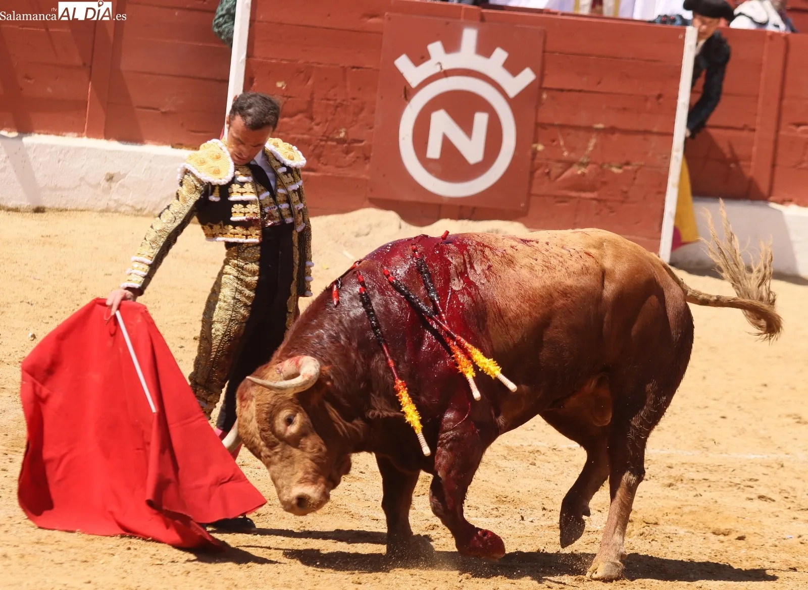Damián Castaño, un gladiador sin espada | FOTOS: Manuel Martín