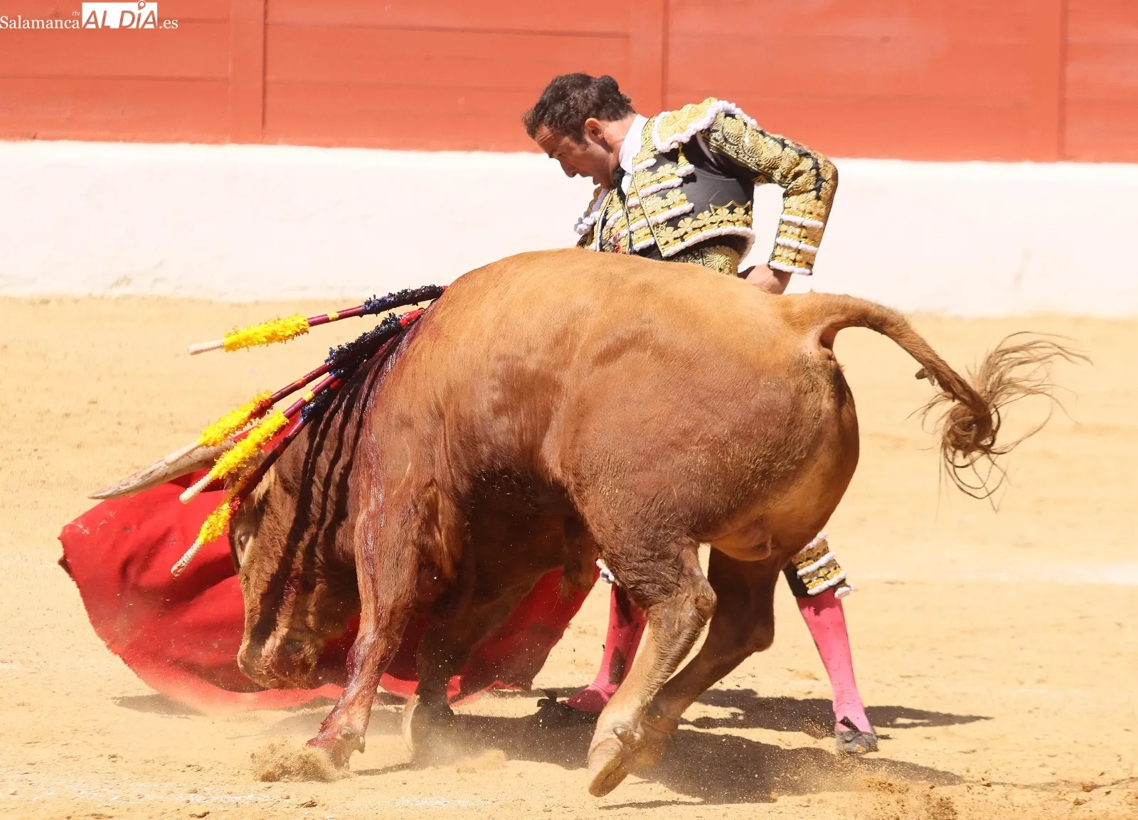 Damián Castaño, un gladiador sin espada | FOTOS: Manuel Martín