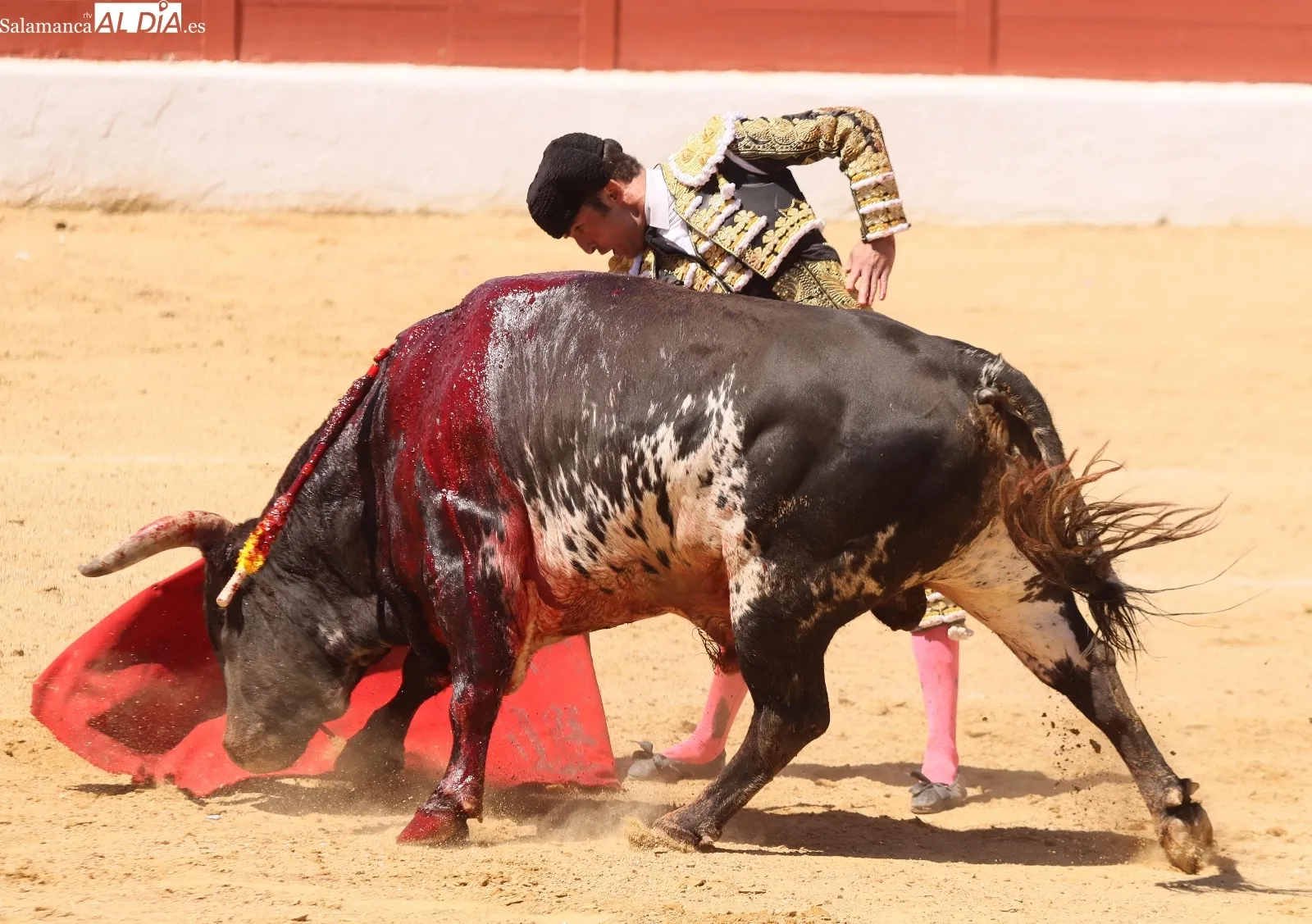 Damián Castaño, un gladiador sin espada | FOTOS: Manuel Martín