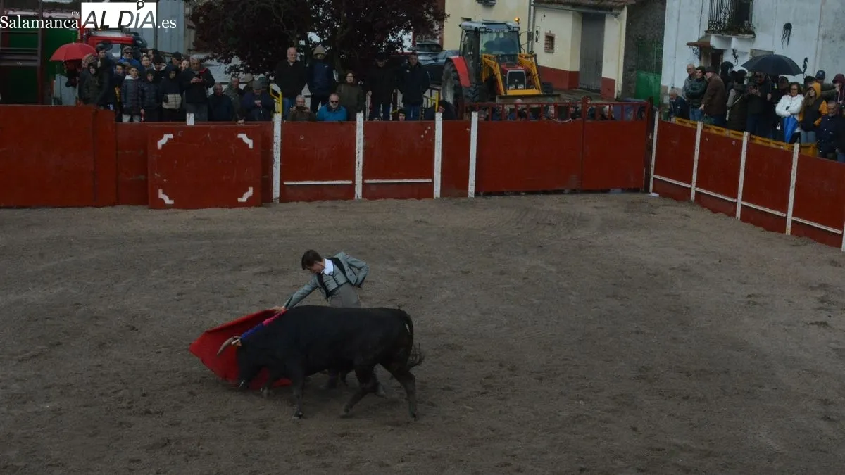 Foto 7 - Entretenido festejo taurino en Olmedo, a pesar del fr&iacute;o y la amenaza de lluvia