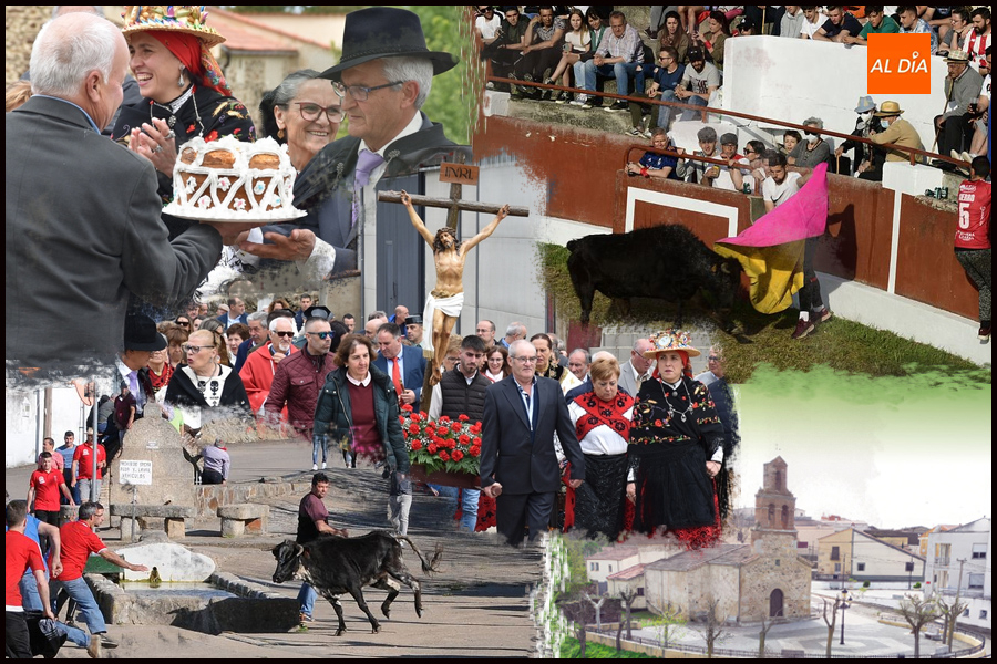 Saelices el Chico celebrará La Santa Cruz con la novedad de un paseo de minibueyes