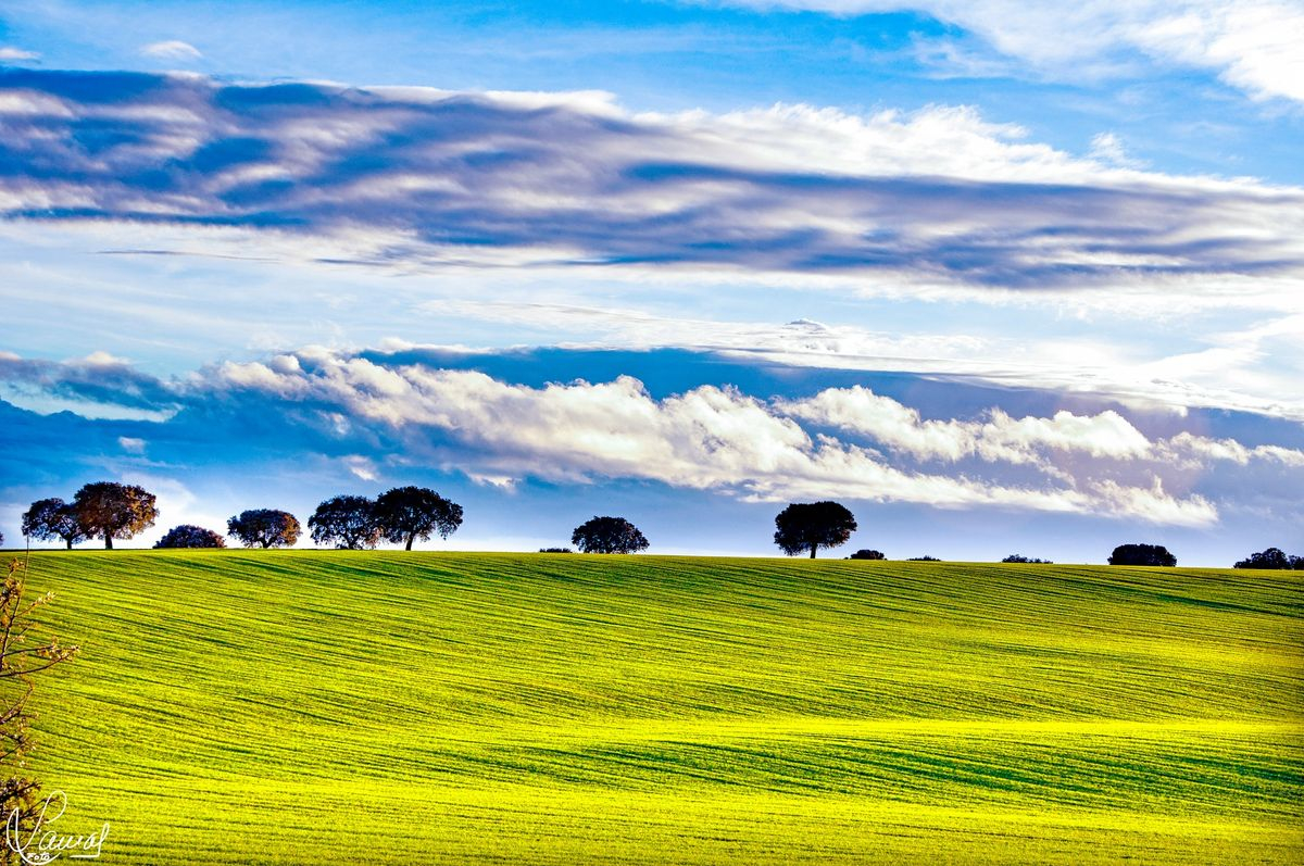 Carretera de Vitigudino
