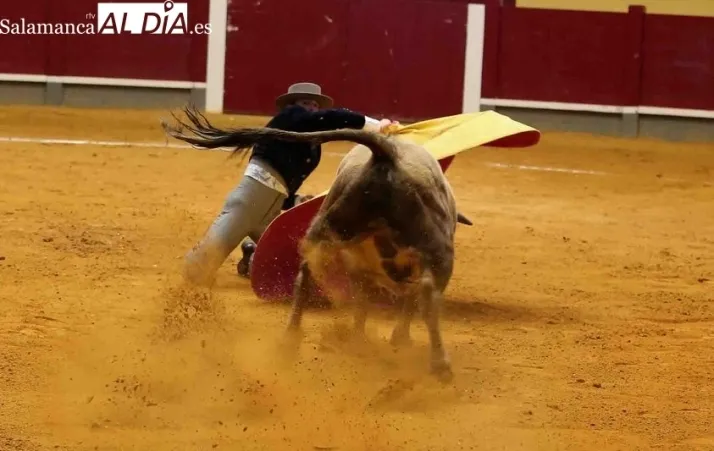 Foto 3 - Tres triunfos y un percance en la clase pr&aacute;ctica de la Escuela de Tauromaquia en Alba de Tormes