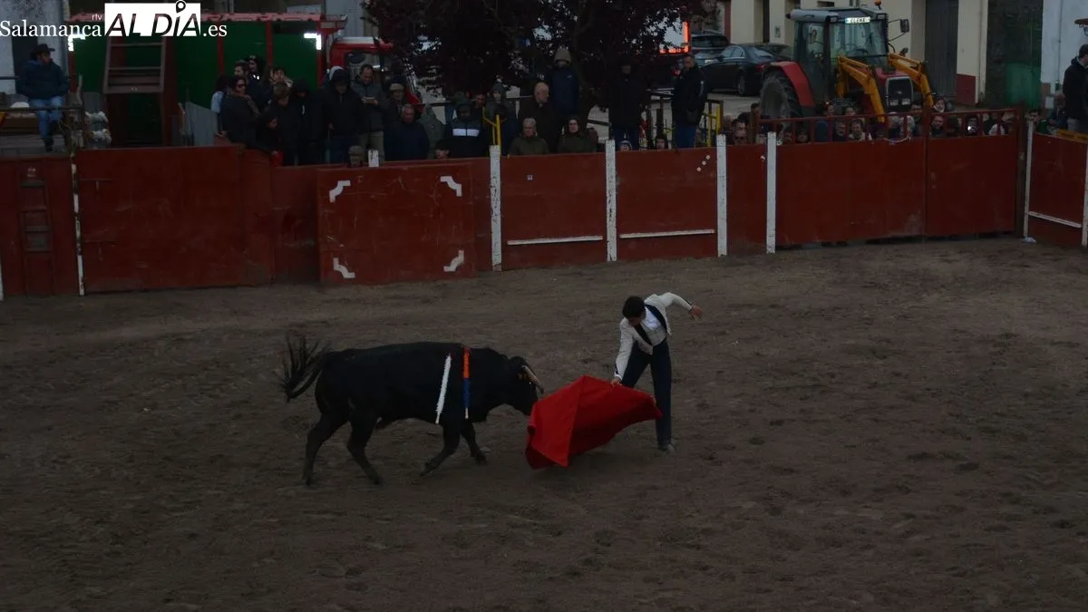 Foto 5 - Entretenido festejo taurino en Olmedo, a pesar del fr&iacute;o y la amenaza de lluvia
