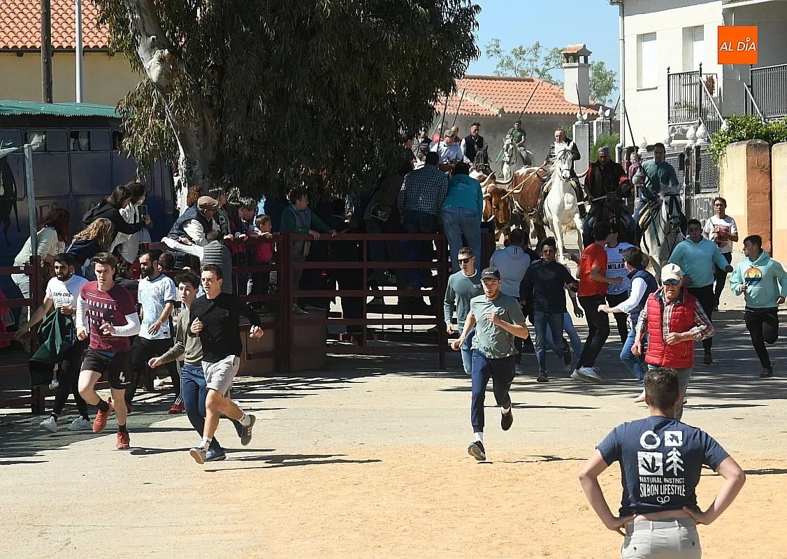 Encierro a caballo en Gallegos de Argañán/ Fotos: Adrián M. Pastor