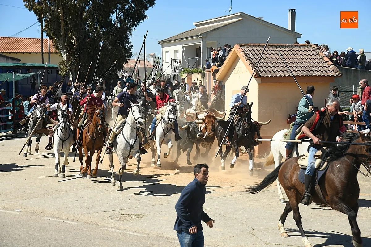 Encierro a caballo en Gallegos de Argañán/ Fotos: Adrián M. Pastor