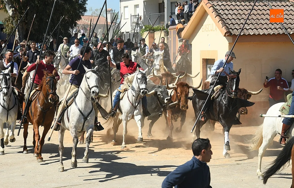 Encierro a caballo en Gallegos de Argañán/ Fotos: Adrián M. Pastor
