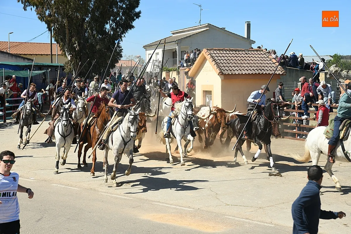 Encierro a caballo en Gallegos de Argañán/ Fotos: Adrián M. Pastor