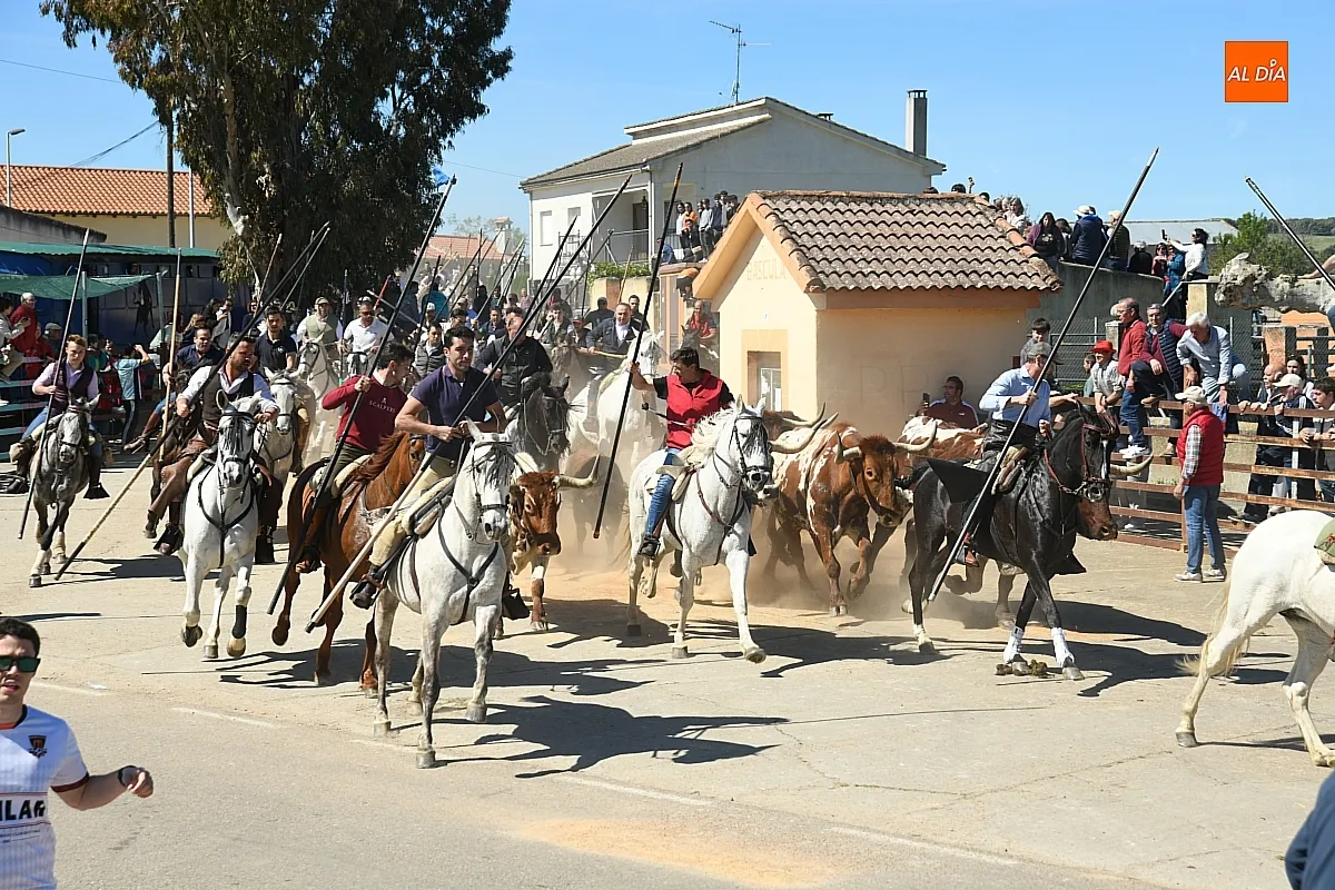 Encierro a caballo en Gallegos de Argañán/ Fotos: Adrián M. Pastor