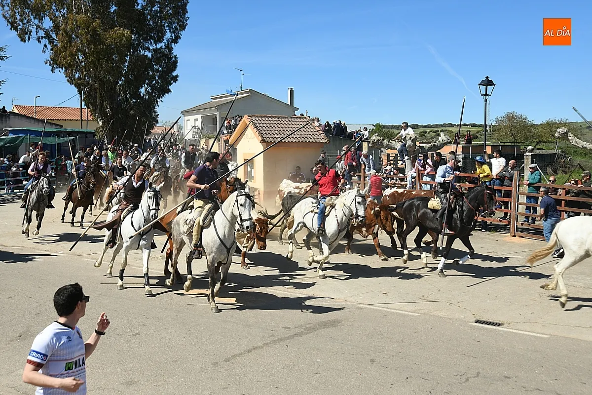 Encierro a caballo en Gallegos de Argañán/ Fotos: Adrián M. Pastor