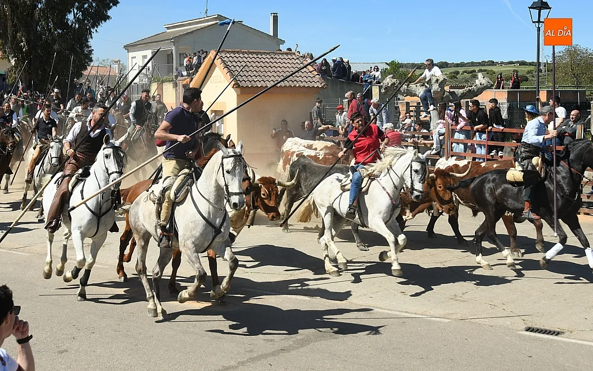 Encierro a caballo en Gallegos de Argañán/ Fotos: Adrián M. Pastor