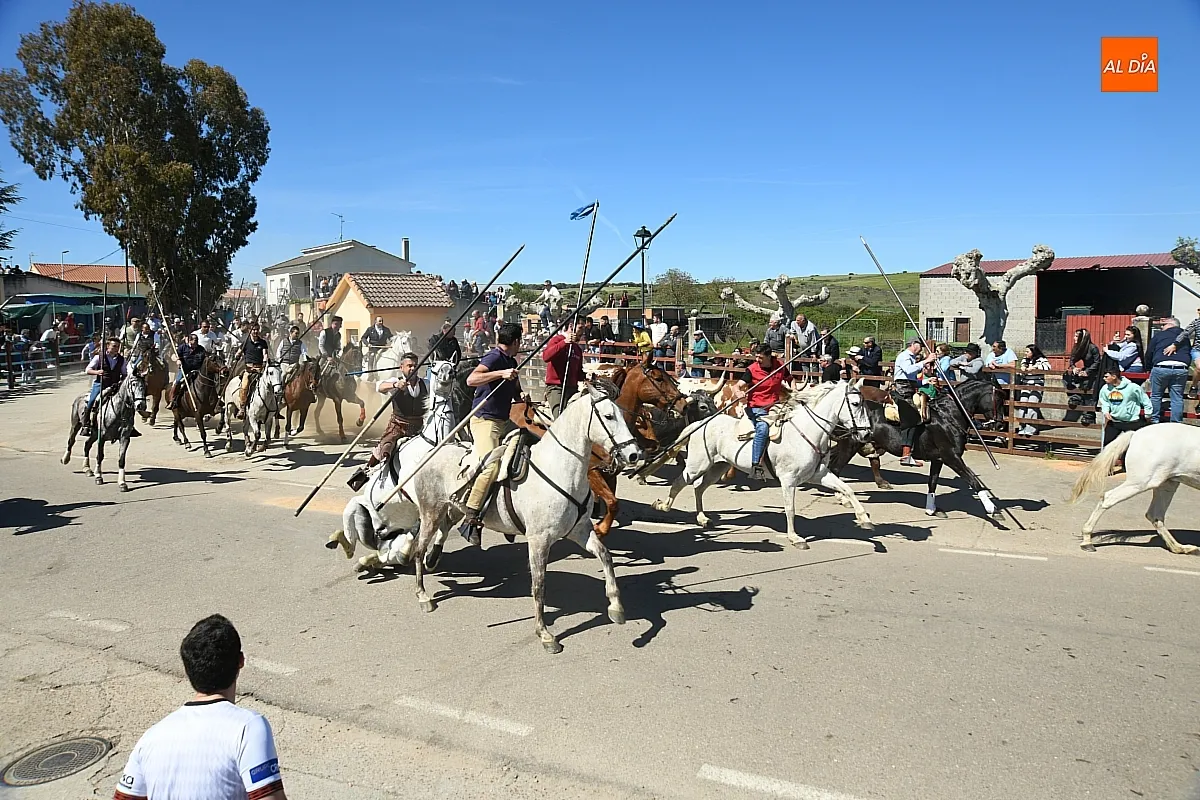 Encierro a caballo en Gallegos de Argañán/ Fotos: Adrián M. Pastor