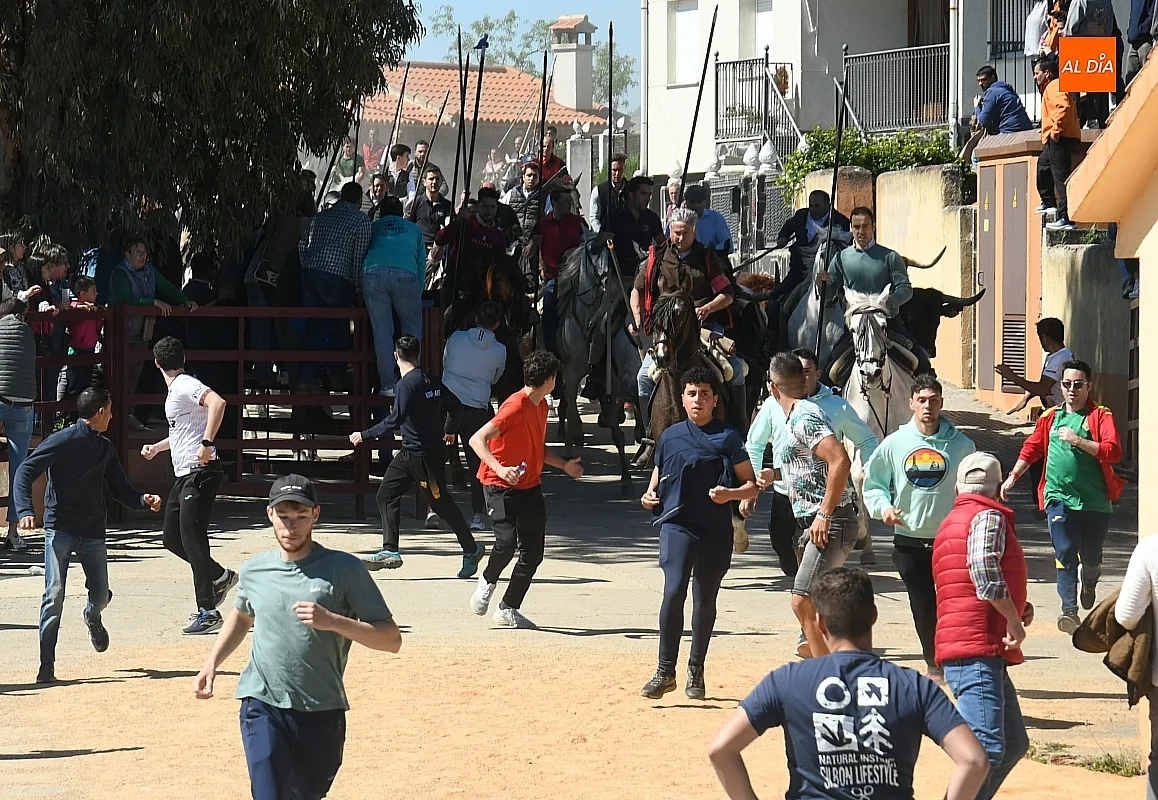 Encierro a caballo en Gallegos de Argañán/ Fotos: Adrián M. Pastor