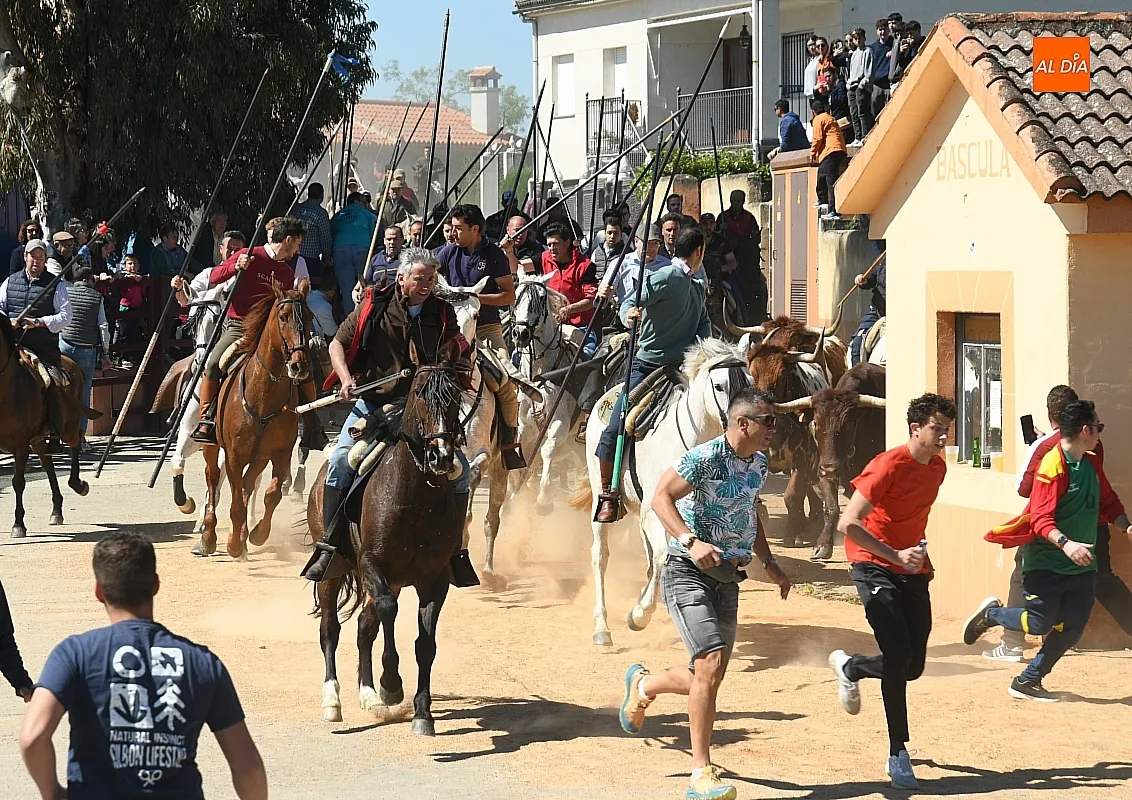 Encierro a caballo en Gallegos de Argañán/ Fotos: Adrián M. Pastor