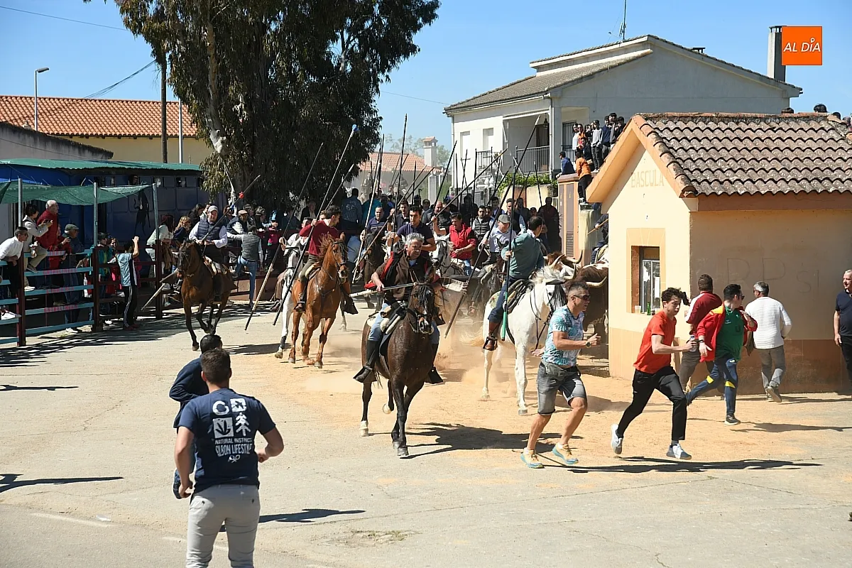 Encierro a caballo en Gallegos de Argañán/ Fotos: Adrián M. Pastor