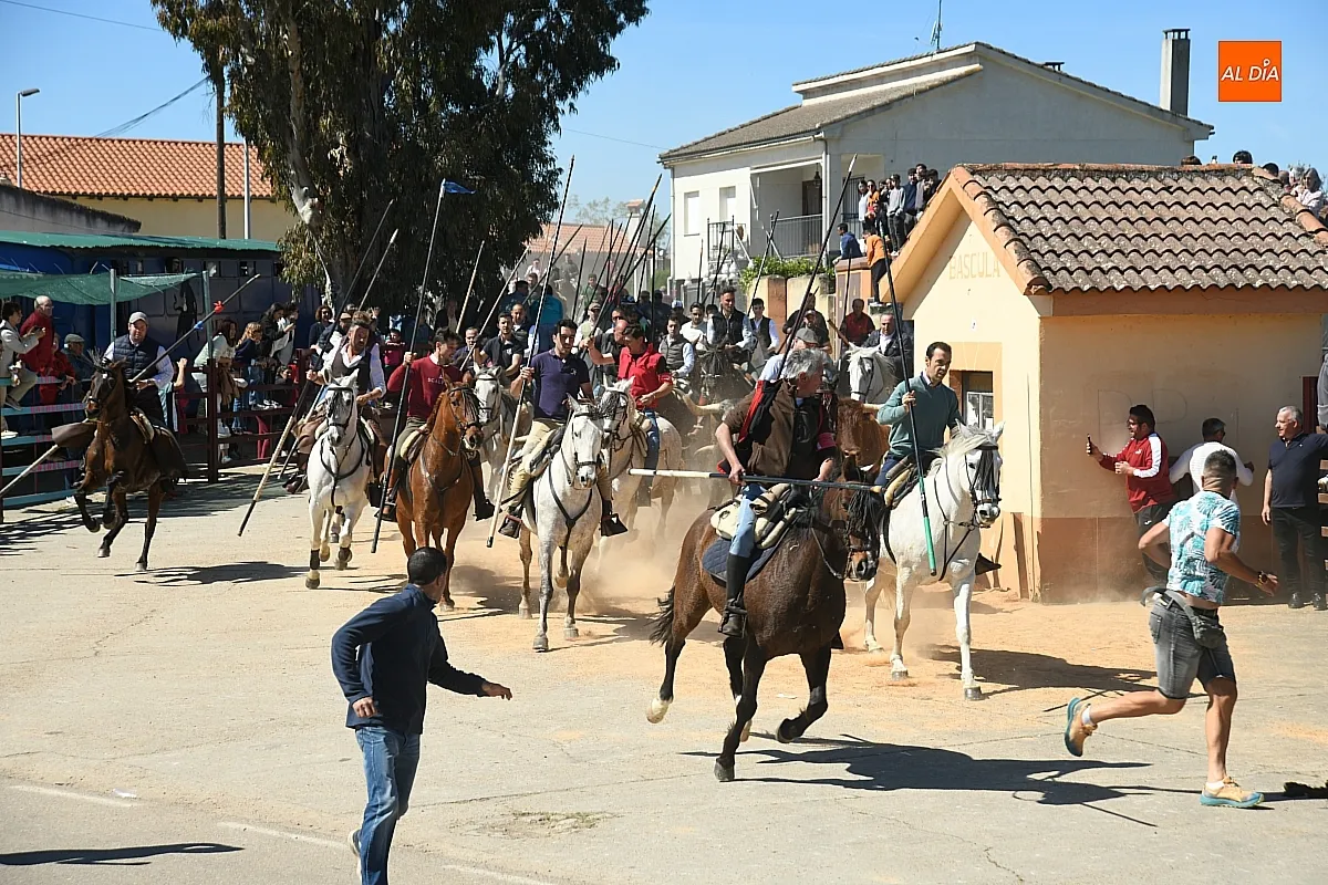 Encierro a caballo en Gallegos de Argañán/ Fotos: Adrián M. Pastor