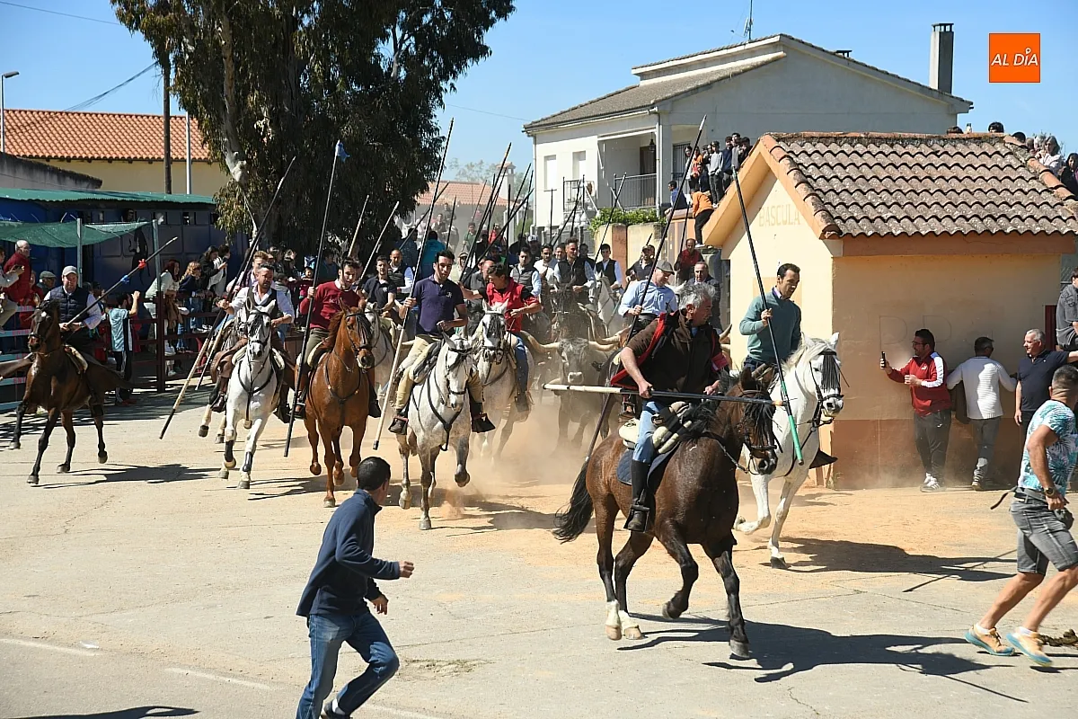 Encierro a caballo en Gallegos de Argañán/ Fotos: Adrián M. Pastor