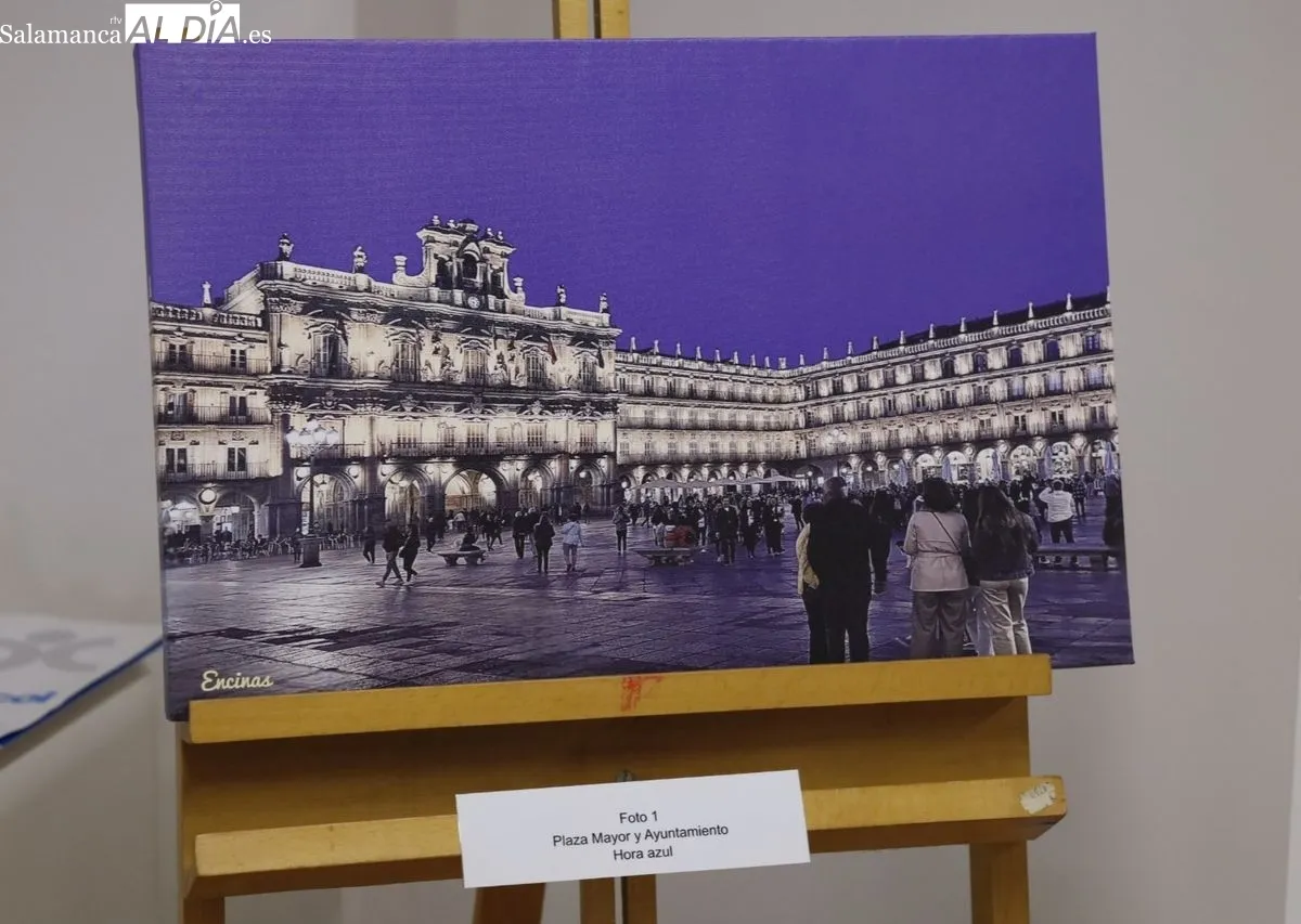 Exposición ‘Renaciente maravilla’, en la Fonda Veracruz, organizada por la Asociación Contra la Leucemia y Enfermedades de la Sangre (ASCOL). Foto de David Domínguez